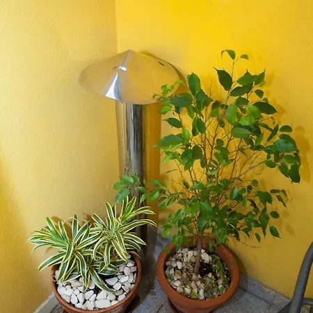 Apartamento Qian Centro OOporto Esterno foto